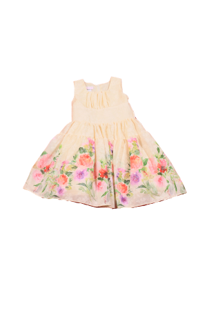 Peach Dress