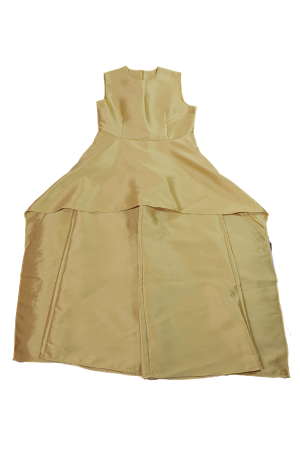 Gold dress