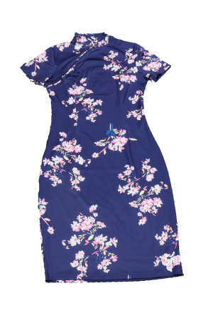 Blue Floral Dress